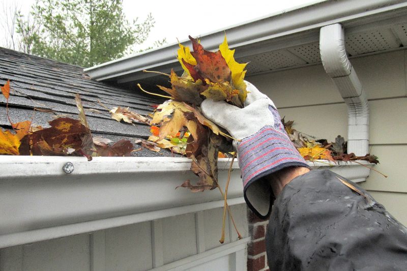 Gutter Cleaning in Gwynn Oak